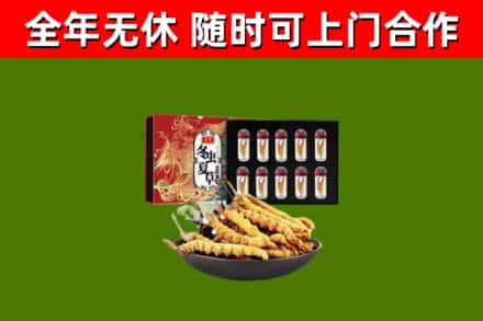 安新回收冬虫夏草价格