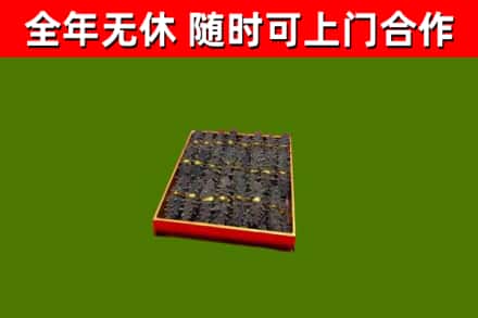 安新回收海参